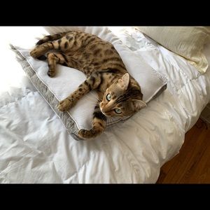 Meet your Posher, Gia